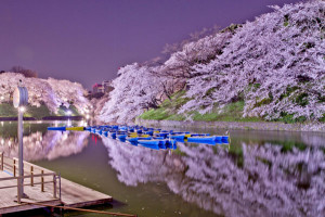 kerasaki1