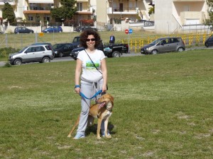 SAM_6063