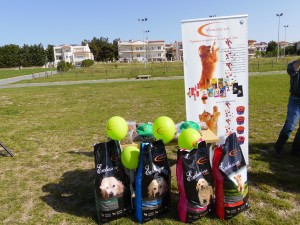 SAM_6067