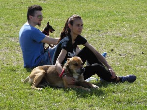 SAM_6086