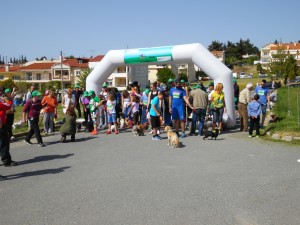 SAM_6145