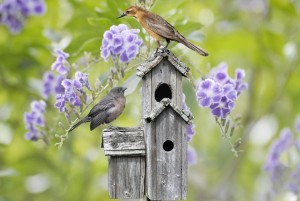 newego_LARGE_t_1101_54666317_type13145