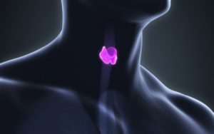 27d29982ce7161def03a5954a3f53498_XL