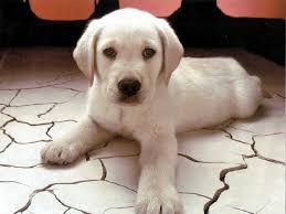 %ce%ba%ce%b1%cf%84%ce%ac%ce%bb%ce%bf%ce%b3%ce%bf%cf%82