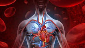%ce%b1%cf%81%cf%87%ce%b5%ce%af%ce%bf-%ce%bb%ce%ae%cf%88%ce%b7%cf%82