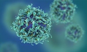 237259-cells