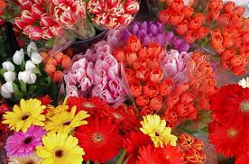 images (1)