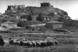 Akropoli 1903