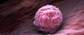 Προειδοποιεί ο ΕΟΦ για θεραπείες με βλαστοκύτταρα – Θανατηφόρες παρενέργειες