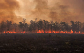Το δάσος Ωραιοκάστρου και 3 περιοχές SOS για φωτιά το καλοκαίρι στη Θεσσαλονίκη