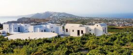 Αφιέρωμα: O χάρτης του ελληνικού κρασιού 2024 – Σπουδαία λευκά και ροζέ από το Αιγαίο
