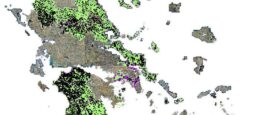 Στον αέρα η περιουσία χιλιάδων ιδιοκτητών γης με φόντο τους δασικούς χάρτες