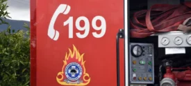 Άρθρο στην εφημερίδα του αδελφοποιημένου δήμου του Ντέτμολντ για τις φωτιές στο Δ. Ωραιοκάστρου
